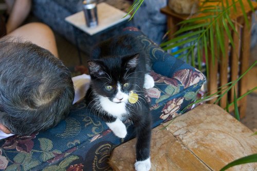 Misha_2008-07-10_IMG_0068